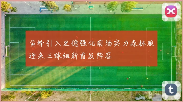 黄蜂引入里德强化前场实力森林狼迎来三球组新首发阵容