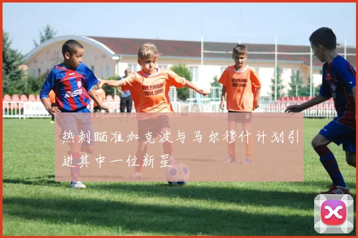 热刺瞄准加克波与马尔穆什计划引进其中一位新星