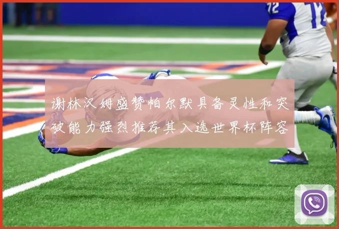 谢林汉姆盛赞帕尔默具备灵性和突破能力强烈推荐其入选世界杯阵容